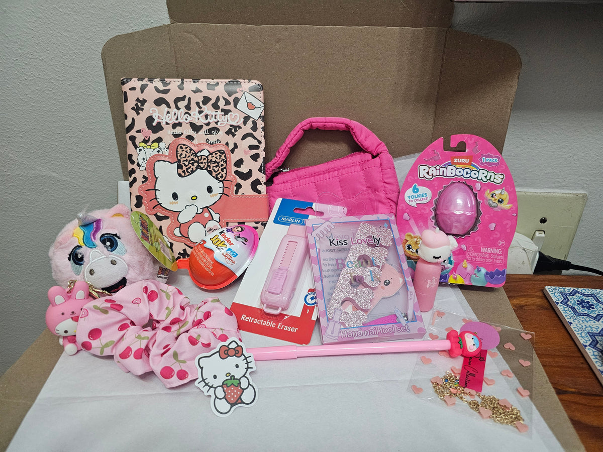 Little Girl Fun Mystery Box